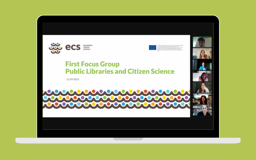 ECS focus groups with public libraries