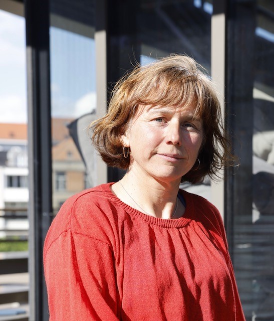Patricia Huyghe - De Krook